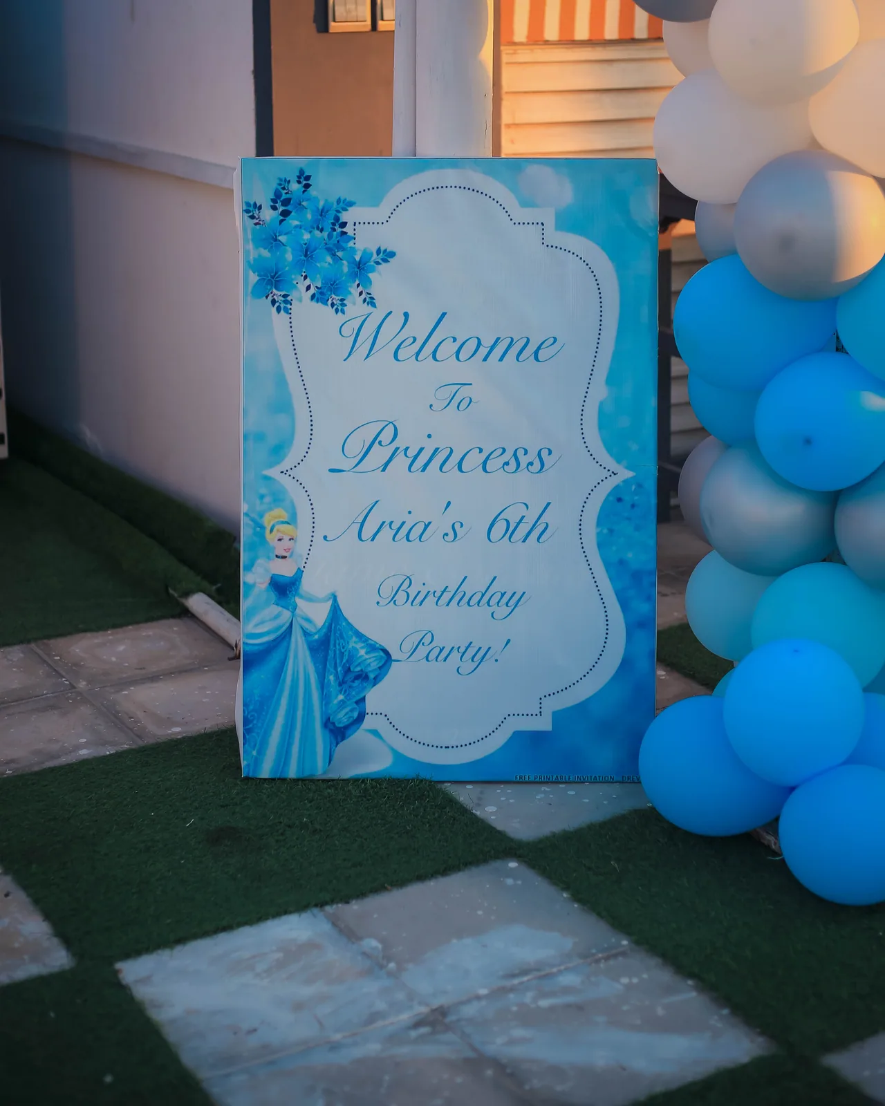 Cinderella Birthday — photo 5