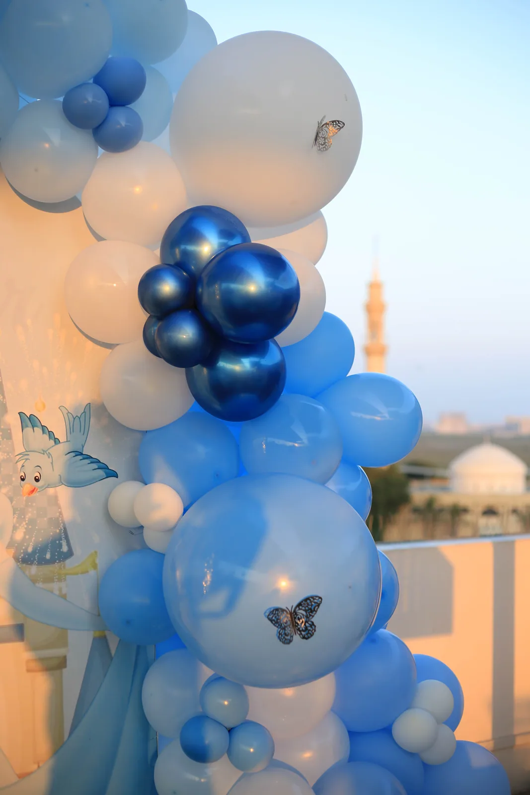 Cinderella Birthday — photo 11
