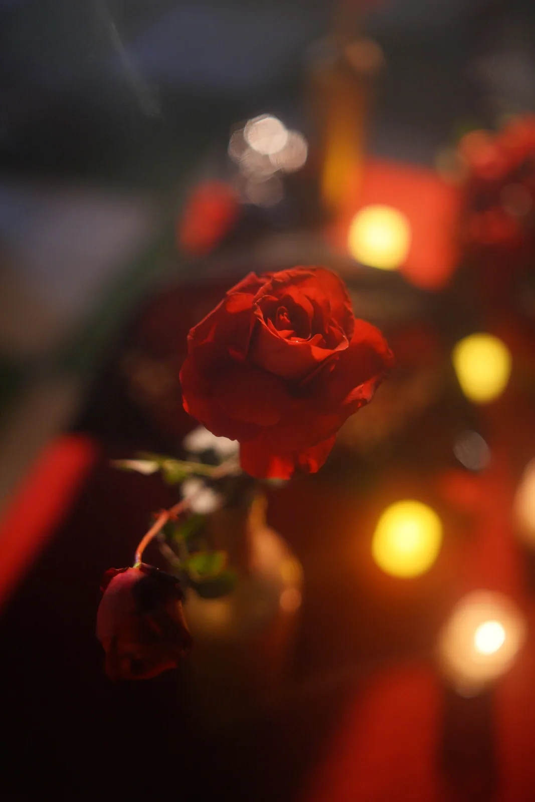 Proposal Pictures — photo 29
