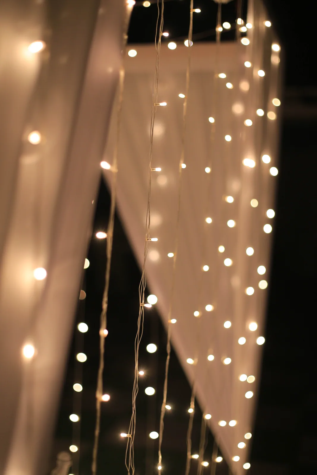 Saba Event — photo 2